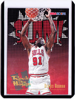 1995-96 NBA Hoops #376 Dennis Rodman