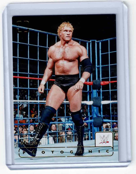 2024 Panini Photogenic WWE #125 Sycho Sid